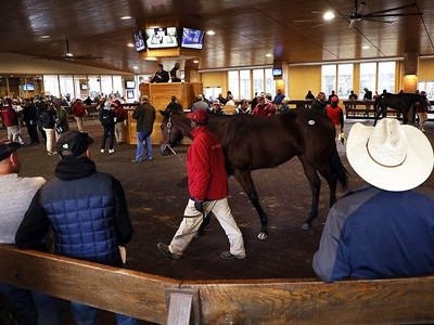 Record-Setting Action Continues at F-T October Sale Image 1